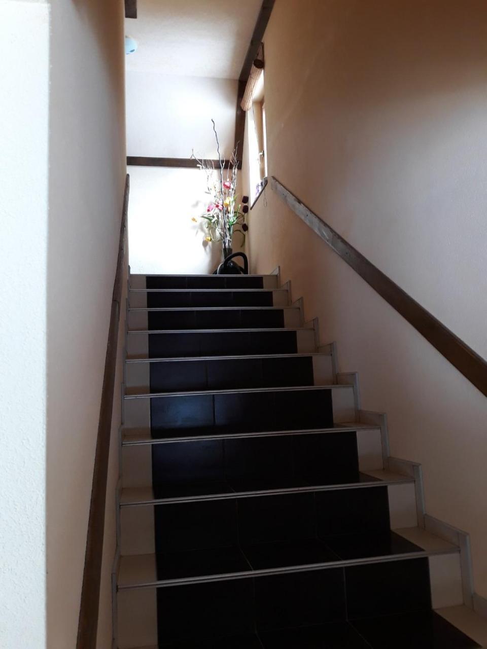 Apartments Vucko Власич Экстерьер фото