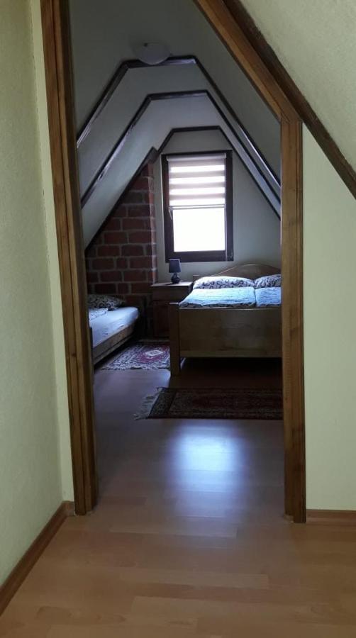 Apartments Vucko Власич Экстерьер фото